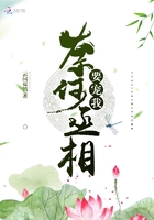 奈何丞相要寵我在線閱讀