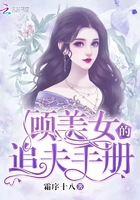 顧美女的追夫手冊在線閱讀
