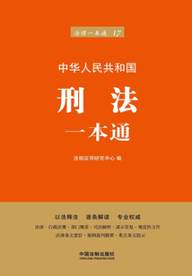 刑法一本通（第六版）