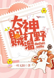 大神的打野賊溜