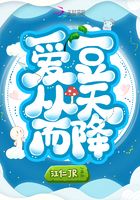 愛豆從天而降在線閱讀