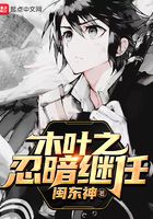 木葉之忍暗繼任在線閱讀