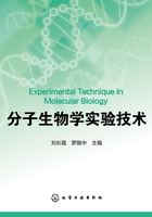 分子生物学实验技术在线阅读