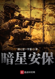 暗星安保
