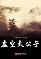 虚空大公子