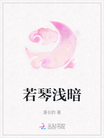 若琴淺暗