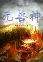 元素大陆之元兽神在线阅读