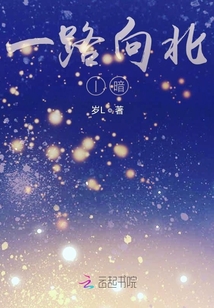 一路向北暗