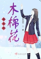 相思的木棉花在線閱讀