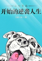 从分手后开始的逆袭人生
