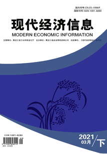 現代經濟信息（2021年第3期·下旬刊）