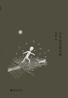 少年走過藍木街在線閱讀
