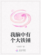 我脑中有个大铁锤在线阅读