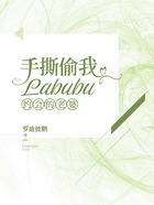手撕偷我labubu约会的老婆在线阅读
