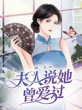 夫人说她曾爱过在线阅读