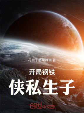 开局钢铁侠私生子在线阅读