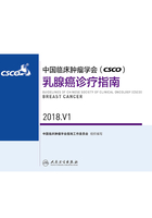 中国临床肿瘤学会(CSCO)乳腺癌诊疗指南 2018.V1在线阅读