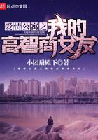 愛情公寓之我的高智商女友在線閱讀