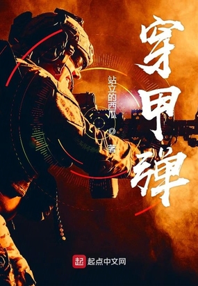 穿甲弹在线阅读