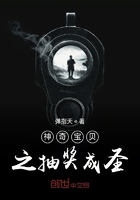 神奇宝贝之抽奖成圣在线阅读