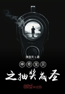 神奇寶貝之抽獎成圣