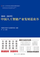 2018—2019年中国人工智能产业发展蓝皮书