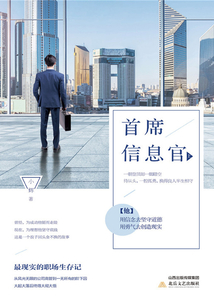 首席信息官(上)