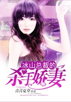 冰山总裁的杀手娇妻