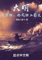 大明：我禁海，你成海上霸主？在线阅读