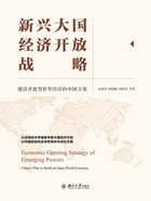 新兴大国经济开放战略：建设开放型世界经济的中国方案在线阅读