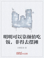 明明可以靠颜值吃饭,非得去摆摊在线阅读