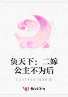 負(fù)天下：二嫁公主不為后在線閱讀
