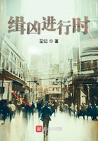 缉凶进行时