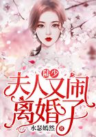 陆少,夫人又闹离婚了