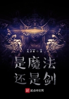 是魔法還是劍在線閱讀