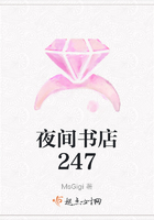 夜間書店247在線閱讀