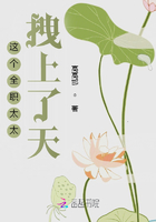 這個全職媽媽拽上了天在線閱讀