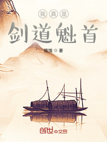 我真是劍道魁首