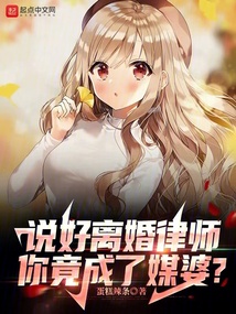 說好離婚律師,你竟成了媒婆?