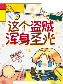 這個盜賊渾身圣光!