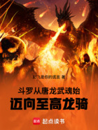 斗罗：从唐龙武魂始迈向至高龙骑