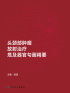 头颈部肿瘤放射治疗危及器官勾画精要在线阅读