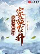 从掌天珠苟到家族飞升在线阅读