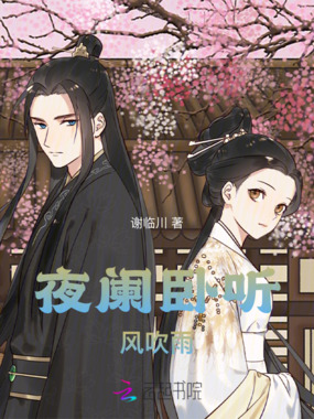 夜阑卧听风吹雨在线阅读