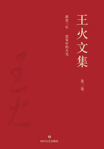王火文集·第二卷:霹靂三年 濃霧中的火光