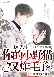 顧先生,，你的小野貓又炸毛了