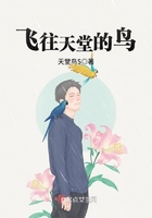 飛往天堂的鳥在線閱讀