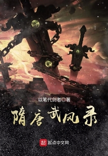 隋唐武風錄