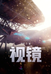 视镜