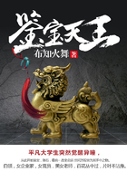 鑒寶天王在線閱讀